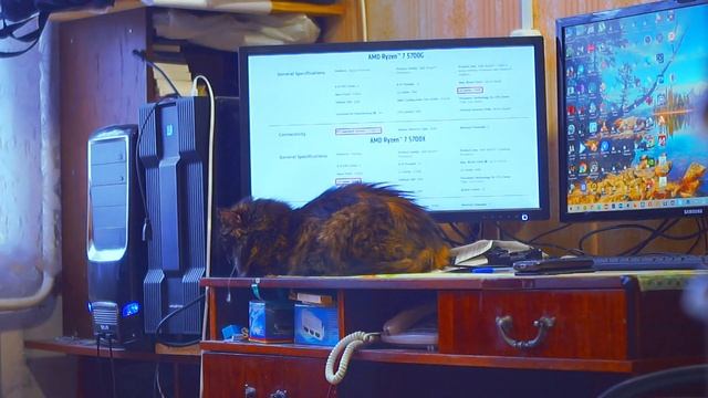 Кошка Соня лежит на моём рабочем столе, снято на Сони А5000 и на объектив Индустар-61 л/д смотреть онлайн