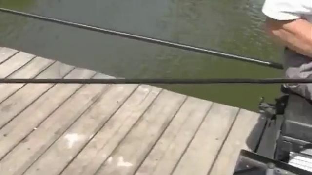 Поплавочный практикум 5 Карп, платный пруд смотреть онлайн