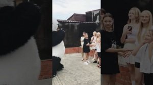 Сборка прикольных поздравлений от Больших Мишек, ростовые куклы, Мишка отжигает