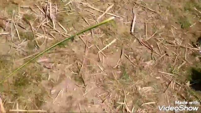 Удачная Рыбалка на карасей! смотреть онлайн