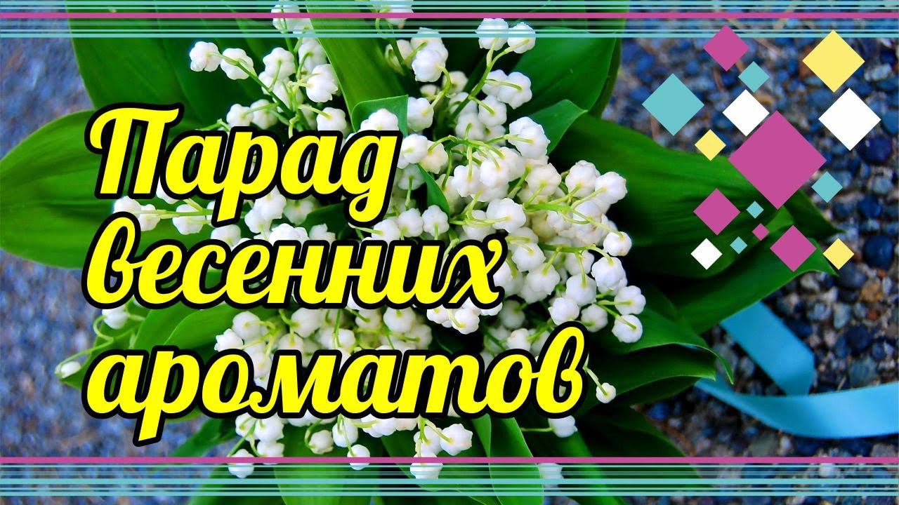 КРАСИВЕЙШИЕ АРОМАТЫ НА ВЕСНУ! И ДЛЯ ДЕВОЧЕК ТОЖЕ ) смотреть онлайн