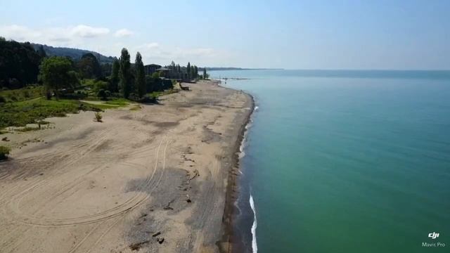 чайка грациозно ушла от воздушного столкновения с квадрокоптером в небе над Черным морем смотреть онлайн