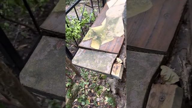 Разрушить отношение и свести соперницу в могилу. Родовой ритуал #чернаямагия ! смотреть онлайн