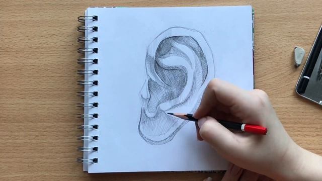 Как нарисовать ухо человека графитным карандашом | How to draw human ear with graphite pencil смотреть онлайн