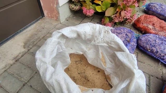 Чем укрыть крупнолистную гортензию на зиму ❓Многоразовое использование природных материалов ???? смотреть онлайн