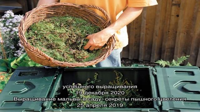 Выращивание на грядках дачи гороха под силу каждому смотреть онлайн