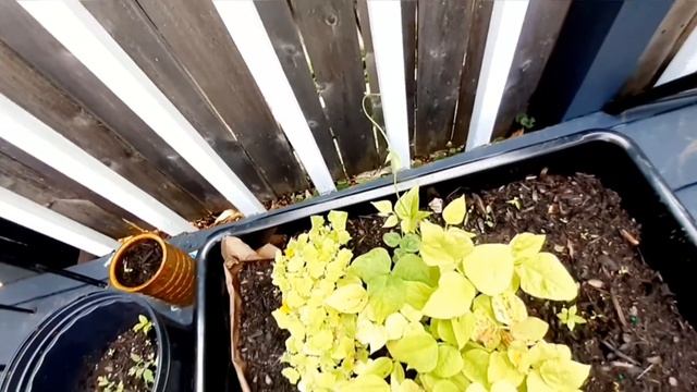 HOME ,CLASS ,SASS & PIZAZZ + REVISITING OUR OLD HOME+ FAMILY FUN смотреть онлайн