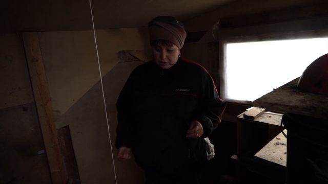 КУРЫ НЕСУШКИ ? Первые ТРИ месяца ПОСЛЕ ПОКУПКИ в 2019 году ? Дом для Кур своими руками смотреть онлайн