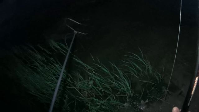 А порыбалимка 13/21г. В поисках сазана на Троицу. смотреть онлайн