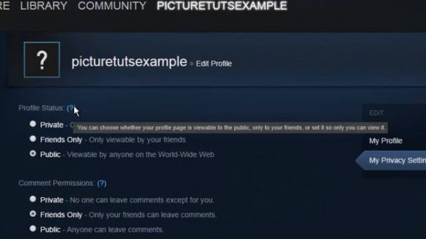 How to Set Steam Account Privacy Settings 2016 - How to Change Your Steam Privacy Settings