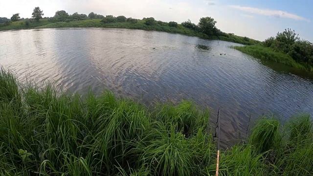 Поймал много крупного карася на поплавочную удочку: одна из лучших рыбалок этого сезона смотреть онлайн