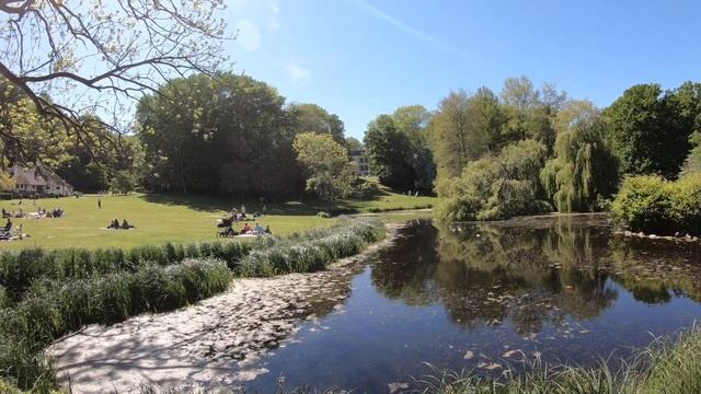 ДАНИЯ ?? Жизнь в Дании. Остров Мён (Møn). Что посмотреть в Дании. Как живут люди на острове в Дании