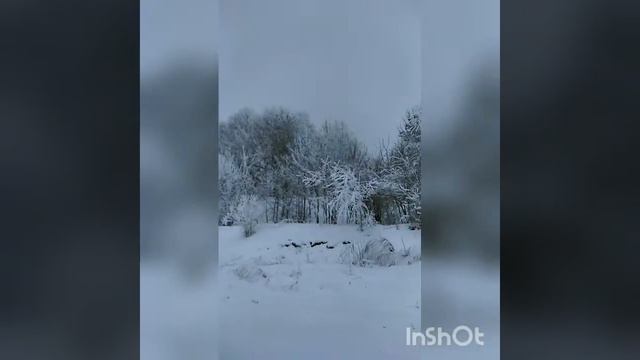 Из туманов - в зиму ... )).mp4 смотреть онлайн