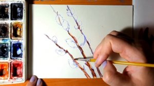 Как рисовать вербу. Весна. Верба. Рисунок вербы.