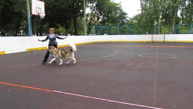 Open Freestyle . Pyhnova Natalia and MAL PLANET YULIAN. "Little Man". Откр. фристайл Пыхнова Н. смотреть онлайн
