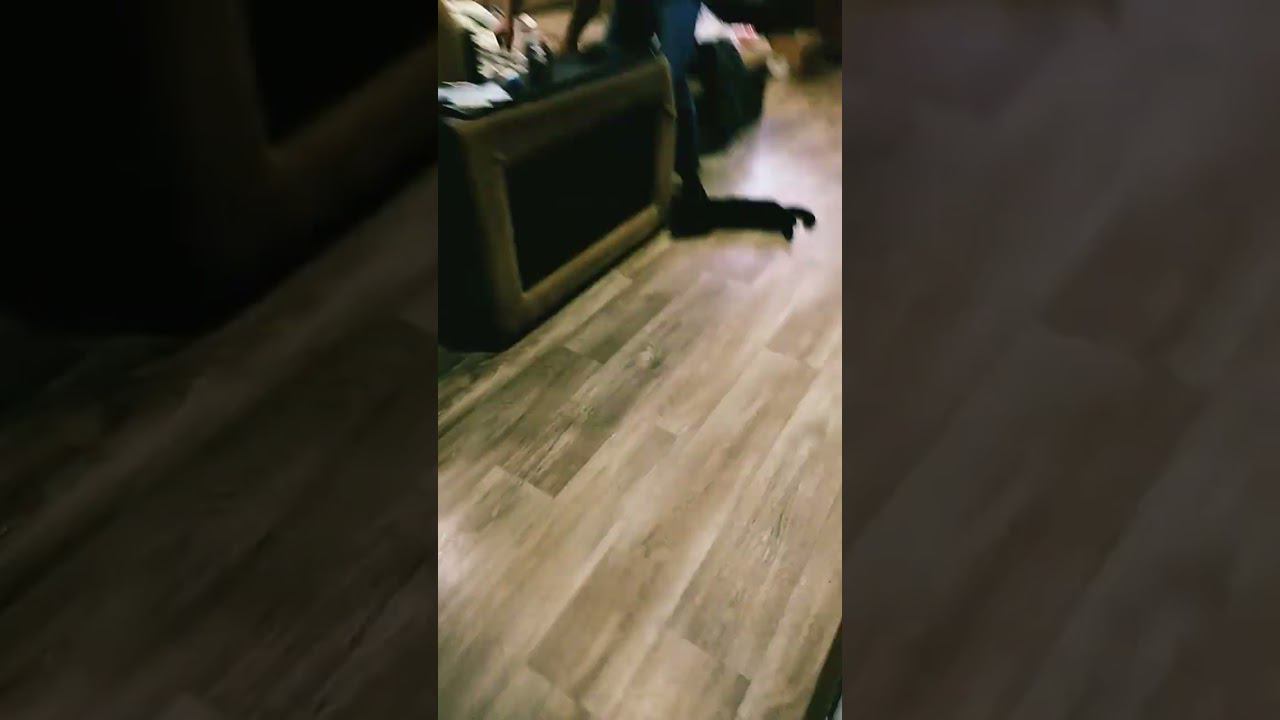 ооо рооо внимание пожарная тревога всем сотрудникам и посетителям срочно покинуть зданіе (на каледж) смотреть онлайн