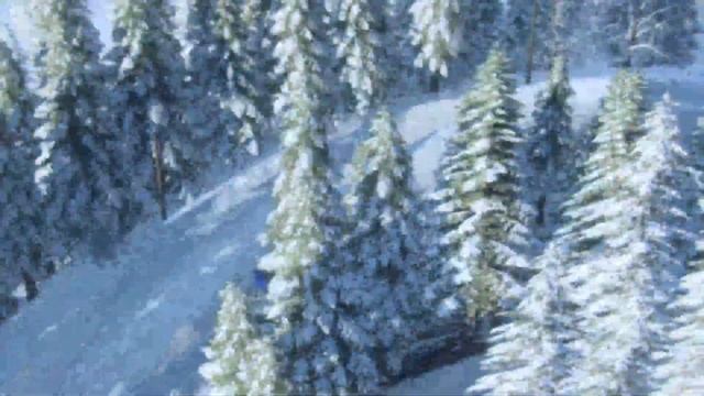 Dirt Rally | 5 Советов, Чтобы Побеждать!