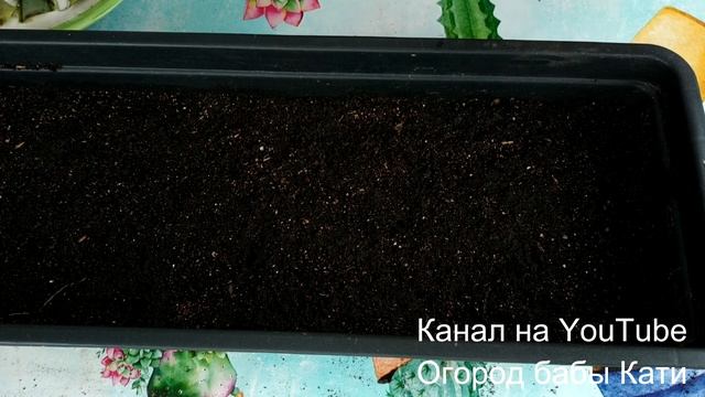 САЖАЙТЕ РАССАДУ ПОМИДОР ТОЛЬКО ТАК, РАССАДА БУДЕТ КРЕПКАЯ И ЗДОРОВАЯ! МАСТЕР КЛАСС ПО ПОСАДКЕ! смотреть онлайн