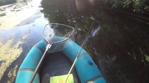 Хорватское яйцо-СУПЕР РЫБАЛКА!