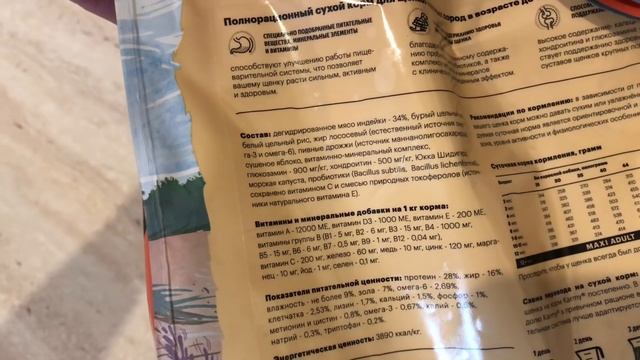 Мы в КРЫМУ ❤️|| Массажер || ЮВИ воришка ?Чем решили кормить собак?