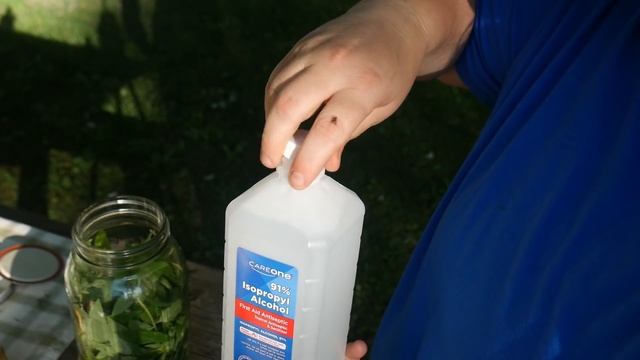 Uncovering the Shocking Benefits of Lemon Verbena and What to Do With it! смотреть онлайн