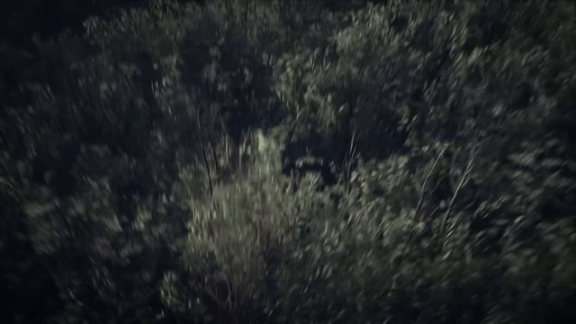 50 лучших игр E3 2019. Часть 5 (Halo Infinite, Bloodlines 2, Ghost Recon: Breakpoint) смотреть онлайн