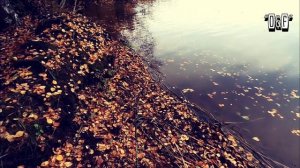 РЫБАЛКА ПОД ПИТЕРОМ.ОЗЕРО СЕСТРОРЕЦКИЙ РАЗЛИВ | ЭПИЗОД №4