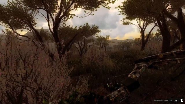 The Hunter охота на кенгуру. смотреть онлайн