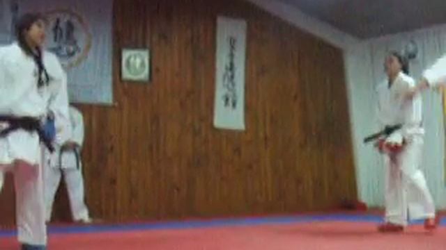 Examen de Karate Cinturon Negro 33 смотреть онлайн