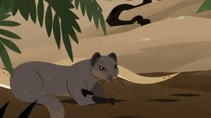 Братья Кратт: Зов Природы. Королевская кобра