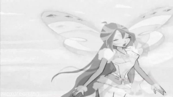 Bloom x Valtor - Msr Potato Head