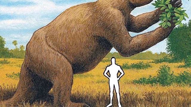 Жуткие Доисторические Чудовища, Которые Вымерли смотреть онлайн