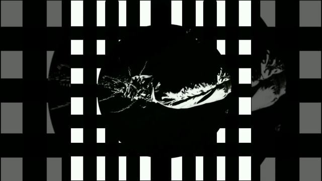 xxxmanera- скажи мне кто ты (без мата)(быстрая версия)(без музыки) смотреть онлайн