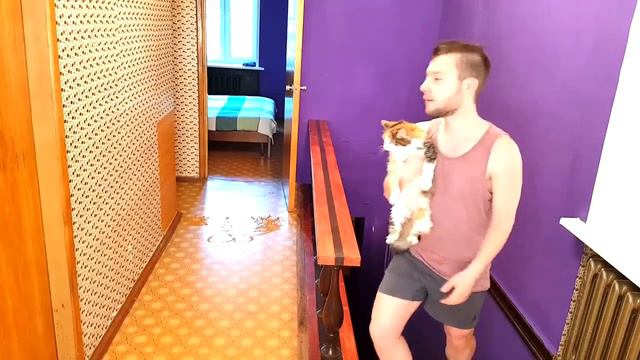 САМЫЙ СКОЛЬЗКИЙ ПОЛ ПРАНК НАД СТАРОЙ КОШКОЙ ПОШЕЛ НЕ ТАК смотреть онлайн