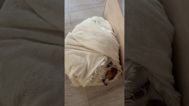 Мастерская видеомонтажа