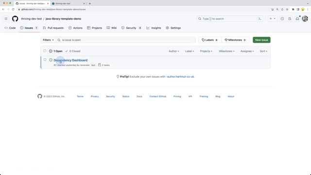 java-library-template 5/7: Automated dependency updates with Renovate смотреть онлайн
