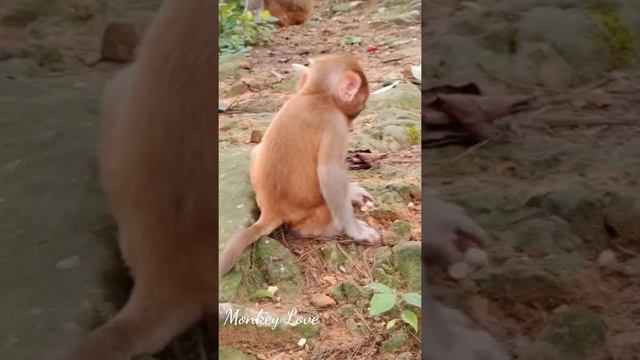 Oh...My God ! Mom Fight Her Beautiful Baby Nearly To Die смотреть онлайн