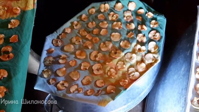 Деревенская ФИТНЕС-ЕДА/ яблочные ЧИПСЫ/ деревенская жизнь смотреть онлайн