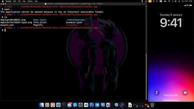 IOS CTF - By xcode0x смотреть онлайн