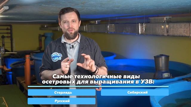 Видео БИЗНЕС ПЛАН осетровой ФЕРМЫ УЗВ на 25 ТОНН В ГОД | Почему РЫБОВОДСТВО ЭТО ПРИБЫЛЬНЫЙ БИЗНЕС? смотреть онлайн