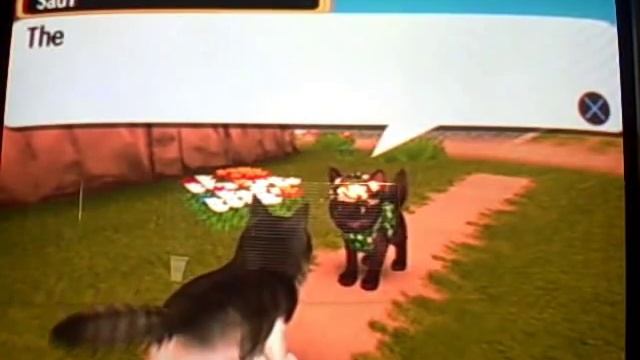 Petz Catz 2 (Catz) Playthrough Part 5 смотреть онлайн