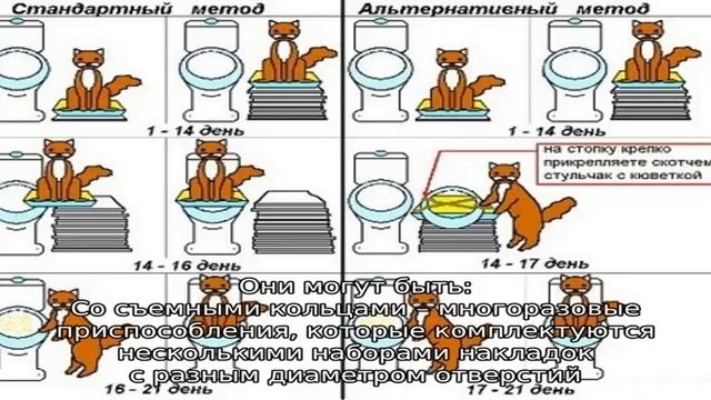 Как приучить кошку или кота к унитазу? смотреть онлайн