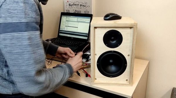 Первое включение и впечатления от самодельной акустики Wavecor