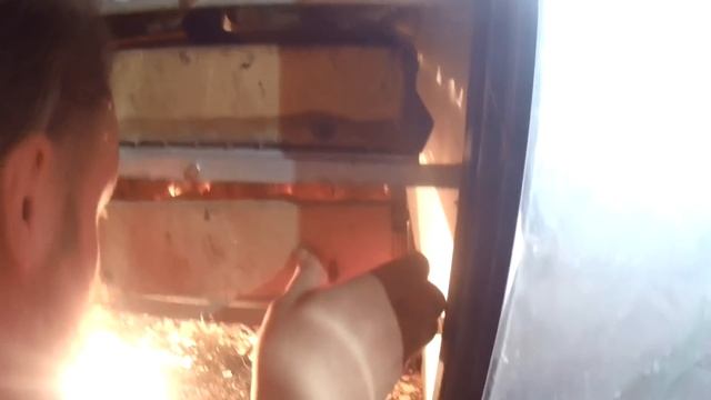 ВЫВОДОК ЦЫПЛЯТ-НЕСУШЕК "ДОМИНАНТА" смотреть онлайн