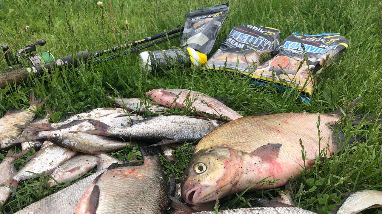 Рыбалка на ОКЕ на фидер в МАЕ/ Рыба ЕСТЬ и она ЕСТ смотреть онлайн