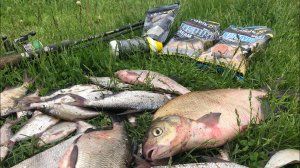 Рыбалка на ОКЕ на фидер в МАЕ/ Рыба ЕСТЬ и она ЕСТ