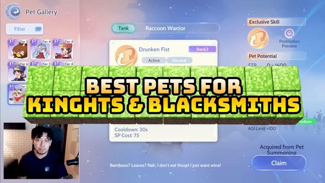 WHICH PET IS BEST FOR EACH JOB CLASS? - RAGNAROK ORIGIN смотреть онлайн