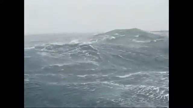 Соленое море смотреть онлайн