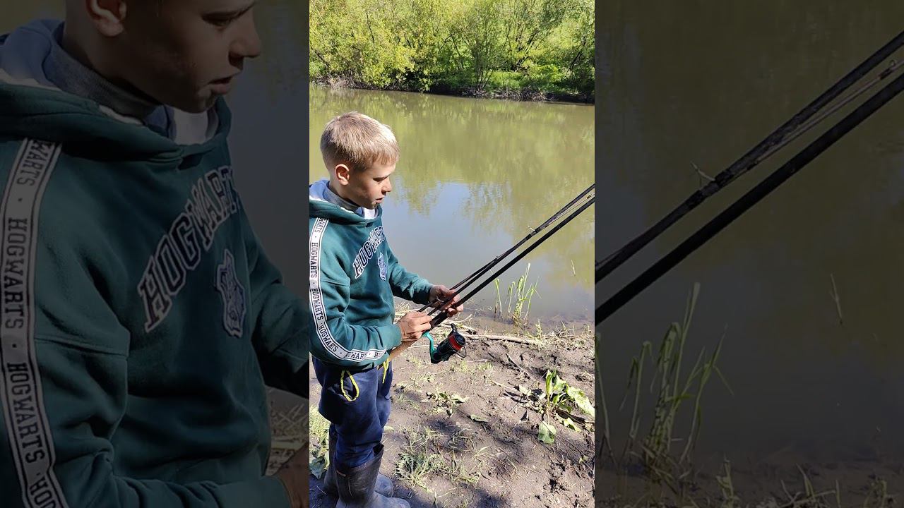 Это поймут только настоящие фидеристы) #рыбалка #fishing #viral #top #рыбаки #рек #carpfishing #ёрш смотреть онлайн