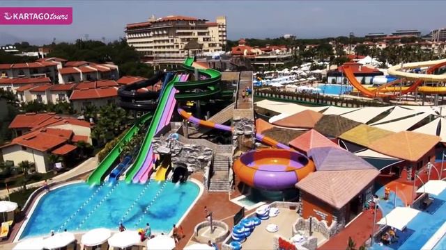 Papillon Belvil - Turecko